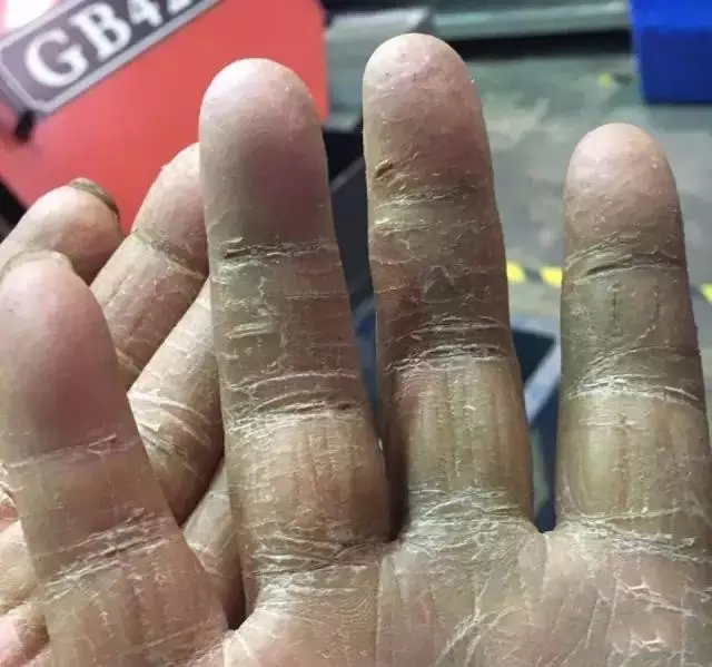 20180102088727.jpg 8414820.jpg